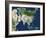 Asia, Satellite Image-PLANETOBSERVER-Framed Photographic Print