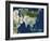 Asia, Satellite Image-PLANETOBSERVER-Framed Photographic Print