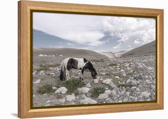 Asia, Western Mongolia, Khovd Province, Gashuun Suhayt. River Valley-Emily Wilson-Framed Premier Image Canvas
