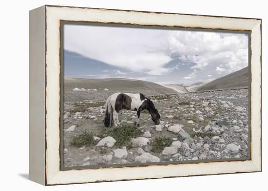 Asia, Western Mongolia, Khovd Province, Gashuun Suhayt. River Valley-Emily Wilson-Framed Premier Image Canvas