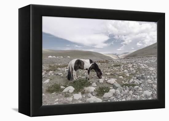 Asia, Western Mongolia, Khovd Province, Gashuun Suhayt. River Valley-Emily Wilson-Framed Premier Image Canvas