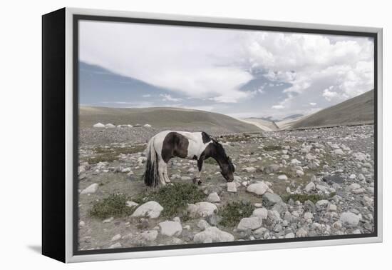 Asia, Western Mongolia, Khovd Province, Gashuun Suhayt. River Valley-Emily Wilson-Framed Premier Image Canvas