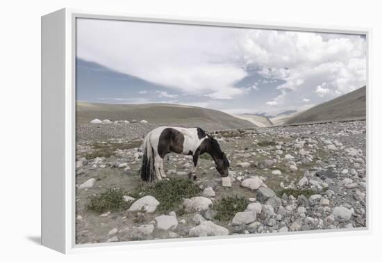 Asia, Western Mongolia, Khovd Province, Gashuun Suhayt. River Valley-Emily Wilson-Framed Premier Image Canvas