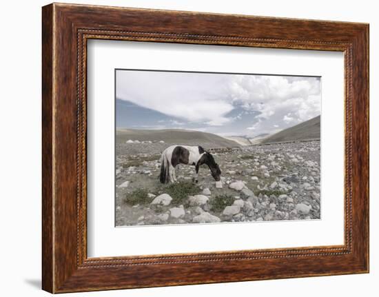 Asia, Western Mongolia, Khovd Province, Gashuun Suhayt. River Valley-Emily Wilson-Framed Photographic Print