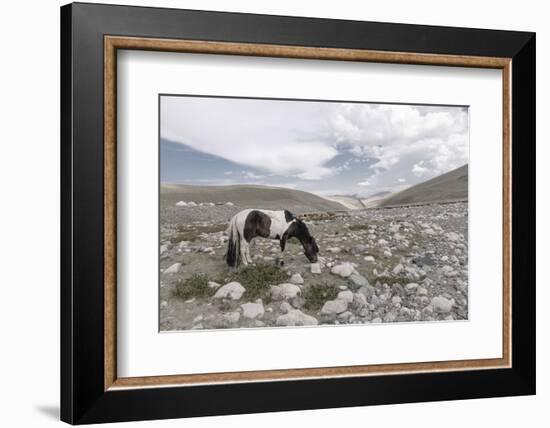 Asia, Western Mongolia, Khovd Province, Gashuun Suhayt. River Valley-Emily Wilson-Framed Photographic Print