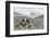 Asia, Western Mongolia, Khovd Province, Gashuun Suhayt. River Valley-Emily Wilson-Framed Photographic Print