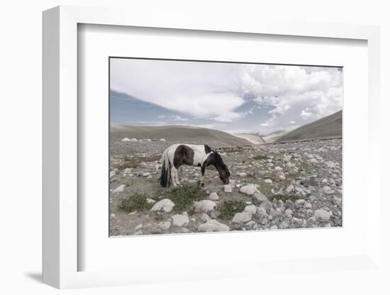 Asia, Western Mongolia, Khovd Province, Gashuun Suhayt. River Valley-Emily Wilson-Framed Photographic Print