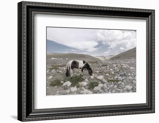 Asia, Western Mongolia, Khovd Province, Gashuun Suhayt. River Valley-Emily Wilson-Framed Photographic Print