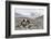 Asia, Western Mongolia, Khovd Province, Gashuun Suhayt. River Valley-Emily Wilson-Framed Photographic Print