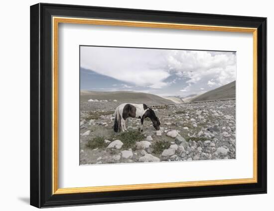 Asia, Western Mongolia, Khovd Province, Gashuun Suhayt. River Valley-Emily Wilson-Framed Photographic Print