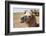 Asia, Western Mongolia, Lake Tolbo, Bactrian Camels-Emily Wilson-Framed Photographic Print