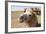 Asia, Western Mongolia, Lake Tolbo, Bactrian Camels-Emily Wilson-Framed Photographic Print