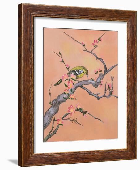 Asian Bird 1-Judy Mastrangelo-Framed Giclee Print