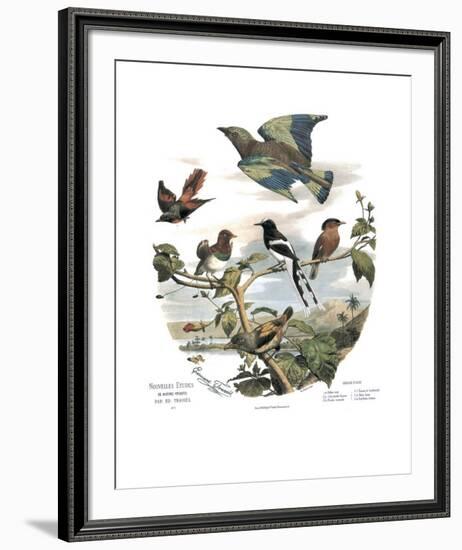 Asian Birds-Edouard Travies-Framed Art Print