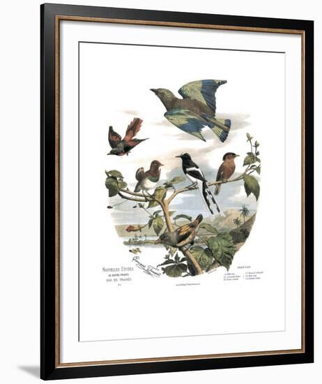 Asian Birds-Edouard Travies-Framed Art Print