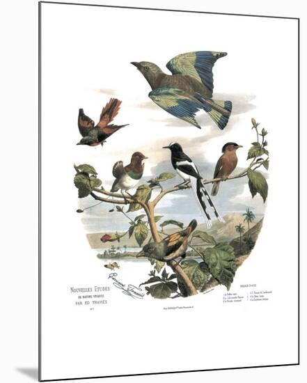 Asian Birds-Edouard Travies-Mounted Art Print