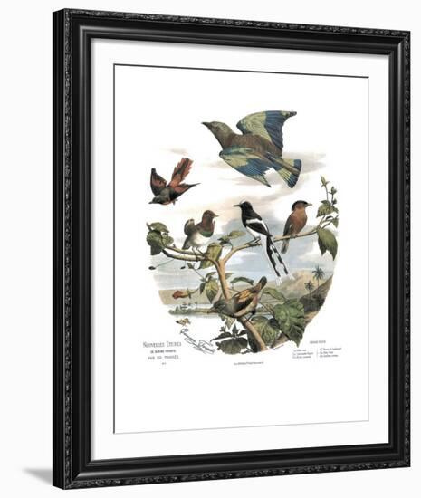 Asian Birds-Edouard Travies-Framed Art Print