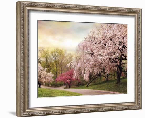 Asian Cherry Grove-Jessica Jenney-Framed Giclee Print