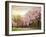 Asian Cherry Grove-Jessica Jenney-Framed Giclee Print