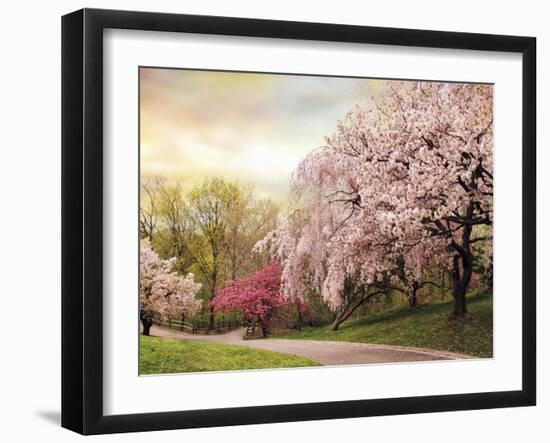 Asian Cherry Grove-Jessica Jenney-Framed Giclee Print