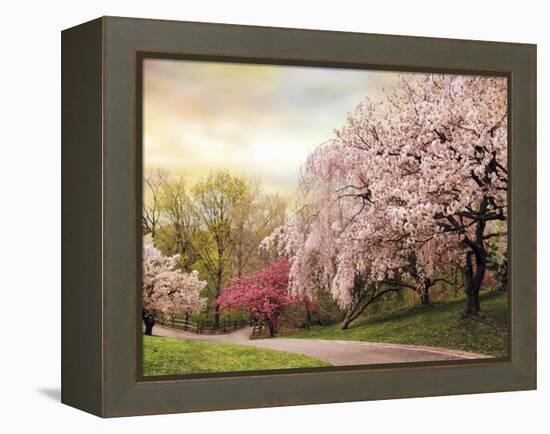 Asian Cherry Grove-Jessica Jenney-Framed Premier Image Canvas