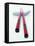 Asian Chopsticks-Peter Medilek-Framed Premier Image Canvas