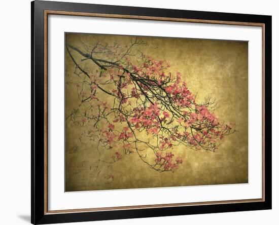 Asian Dogwood-Jessica Jenney-Framed Giclee Print