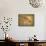 Asian Dogwood-Jessica Jenney-Mounted Giclee Print displayed on a wall