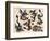 Asian Dragons, Authentic Vintage Tatooo Flash by Norman Collins, aka, Sailor Jerry-Piddix-Framed Art Print