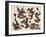 Asian Dragons, Authentic Vintage Tatooo Flash by Norman Collins, aka, Sailor Jerry-Piddix-Framed Art Print