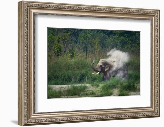 asian elephant dust bathing, bardia national park, terai, nepal-karine aigner-Framed Photographic Print