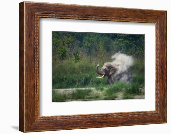 asian elephant dust bathing, bardia national park, terai, nepal-karine aigner-Framed Photographic Print