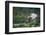 asian elephant dust bathing, bardia national park, terai, nepal-karine aigner-Framed Photographic Print