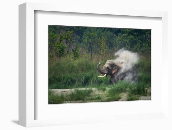 asian elephant dust bathing, bardia national park, terai, nepal-karine aigner-Framed Photographic Print