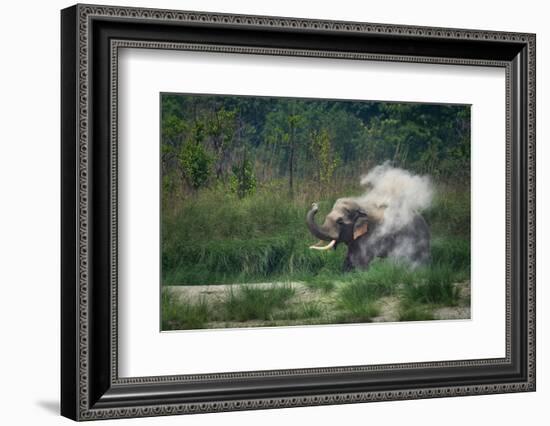 asian elephant dust bathing, bardia national park, terai, nepal-karine aigner-Framed Photographic Print