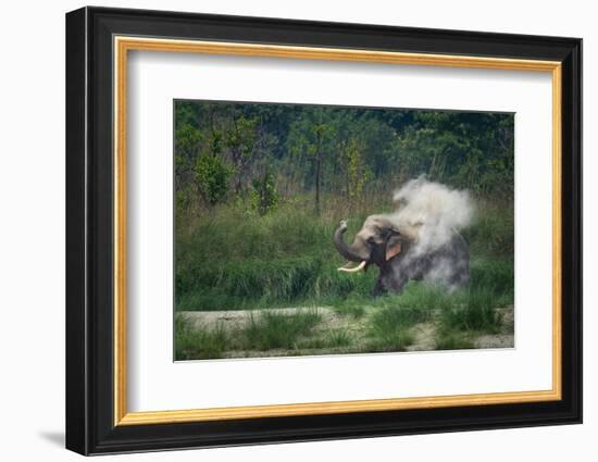 asian elephant dust bathing, bardia national park, terai, nepal-karine aigner-Framed Photographic Print