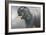 Asian Elephant Dusting-Jeremy Paul-Framed Giclee Print