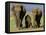 Asian Elephant Family, Nagarhole National Park, India-Gavriel Jecan-Framed Premier Image Canvas