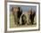 Asian Elephant Family, Nagarhole National Park, India-Gavriel Jecan-Framed Photographic Print