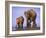 Asian Elephant Family, Nagarhole National Park, India-Gavriel Jecan-Framed Photographic Print