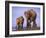 Asian Elephant Family, Nagarhole National Park, India-Gavriel Jecan-Framed Photographic Print