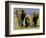 Asian Elephant Family, Nagarhole National Park, India-Gavriel Jecan-Framed Photographic Print