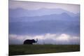 Photographic Print