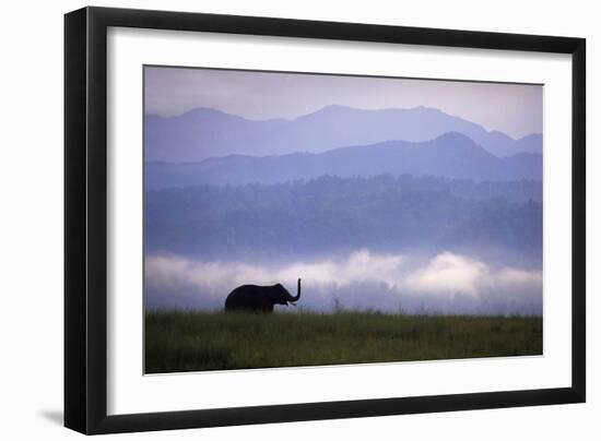 Asian Elephant in the Himalayan Foothills-null-Framed Photographic Print
