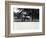 Asian Elephant 'Jessie' Giving a Ride to Two Ladies and a Child-Frederick William Bond-Framed Photographic Print