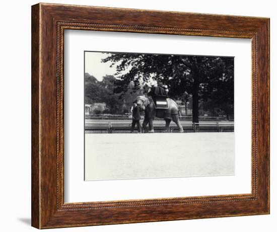 Asian Elephant 'Jessie' Giving a Ride to Two Ladies and a Child-Frederick William Bond-Framed Photographic Print