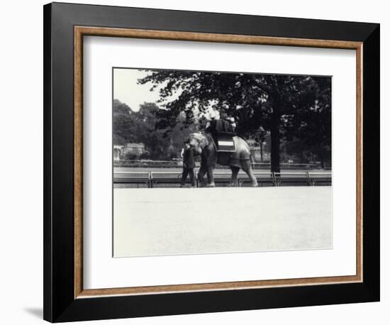 Asian Elephant 'Jessie' Giving a Ride to Two Ladies and a Child-Frederick William Bond-Framed Photographic Print