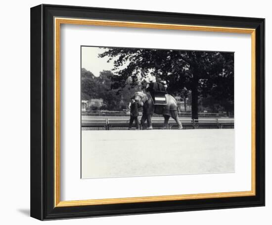 Asian Elephant 'Jessie' Giving a Ride to Two Ladies and a Child-Frederick William Bond-Framed Photographic Print