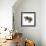 Asian Elephant-Sharon Turner-Framed Premium Giclee Print displayed on a wall