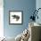 Asian Elephant-Sharon Turner-Framed Premium Giclee Print displayed on a wall